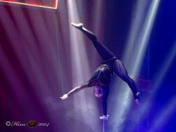 Circus Alex Kaisert am 1. Mai 2026